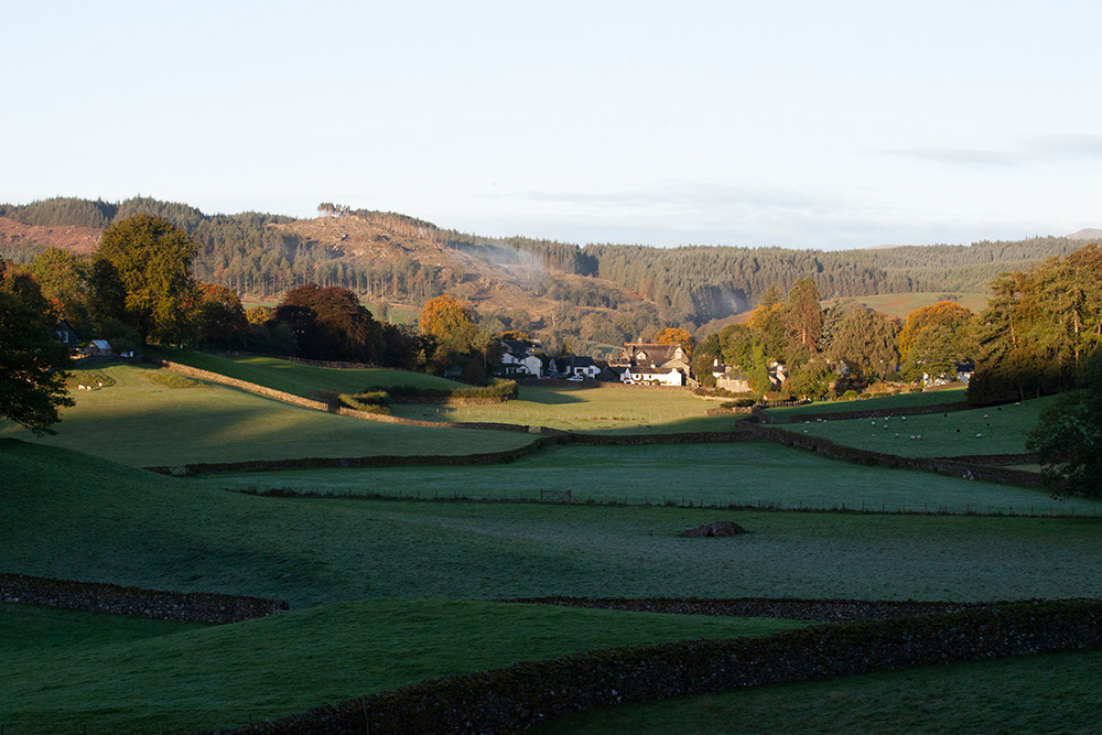 #3451 Near Sawrey