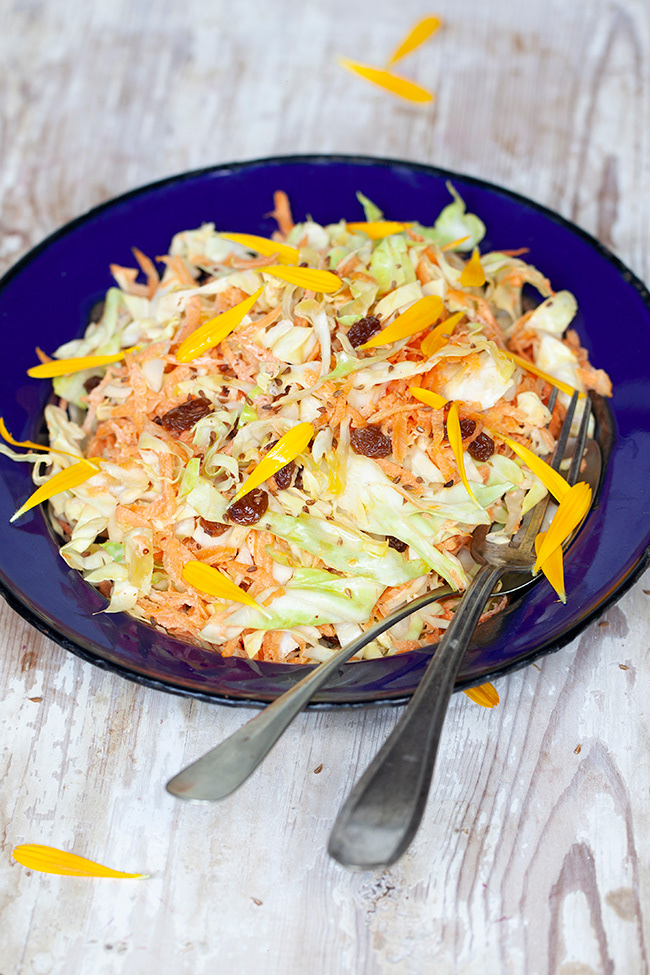 carrot cabbage 001