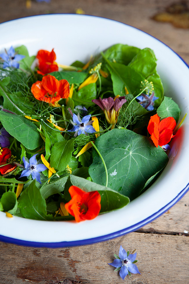 garden salad 003