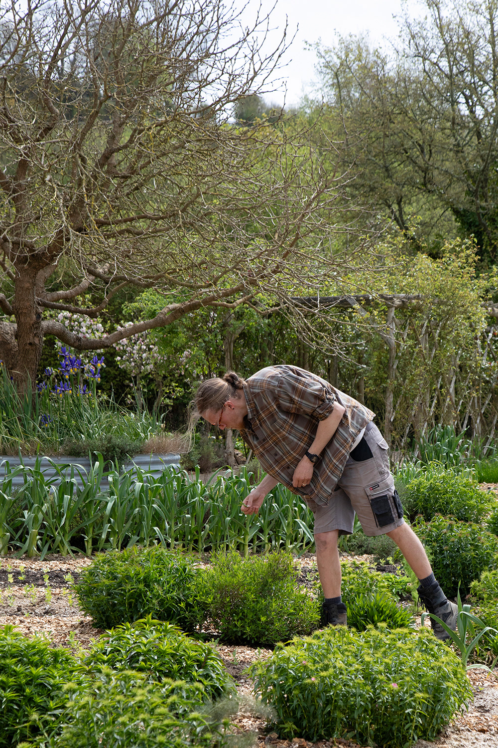 RC 032 RC Head Gardener Jonny Callis