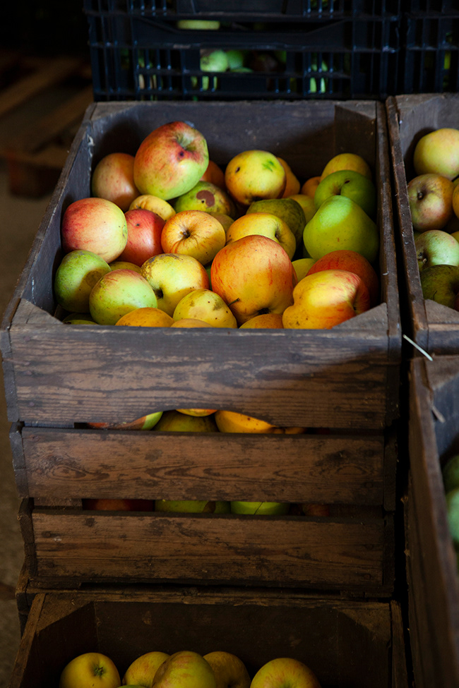 apple lemon curd 005