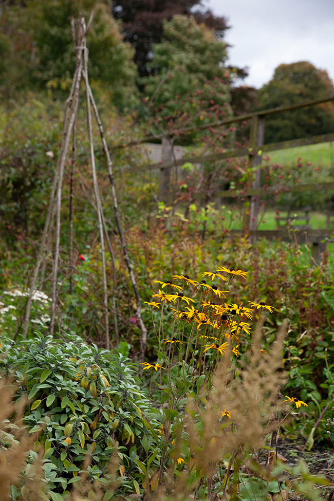 BP 017 | Beatrix Potter's cottage garden