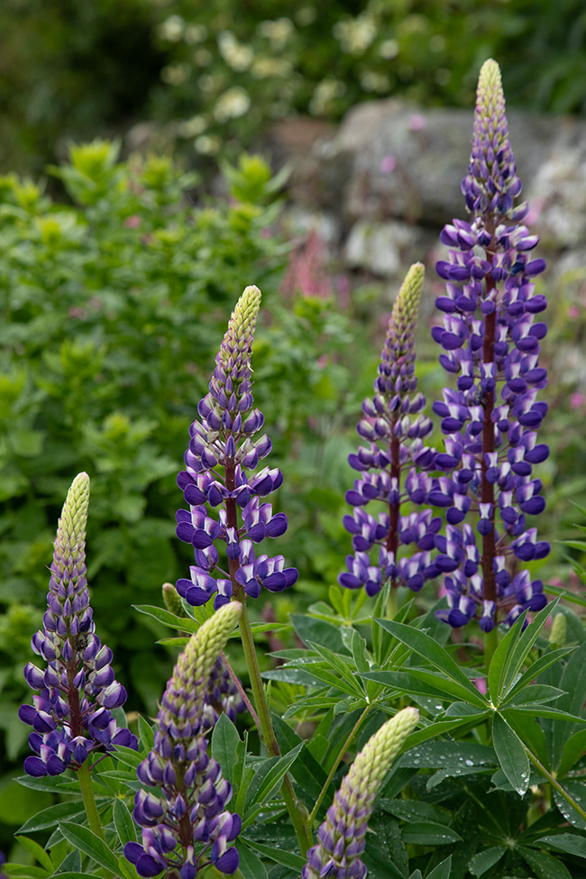 NM 044