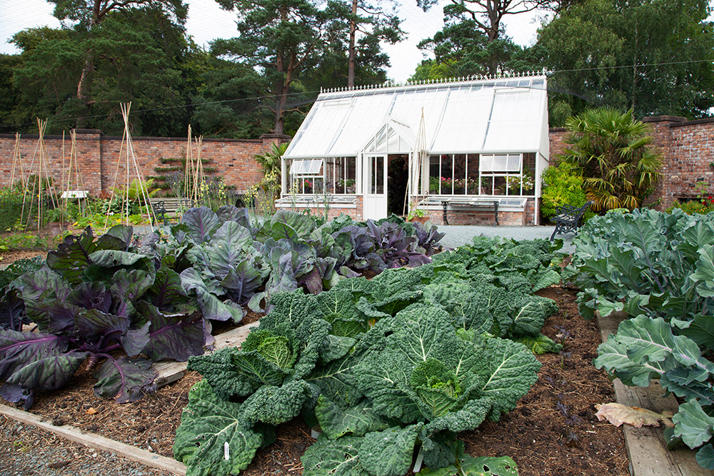 BP 064  |  Lingholm Estate, walled kitchen garden