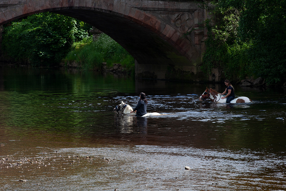 SC 63 | Appleby Horse Fair