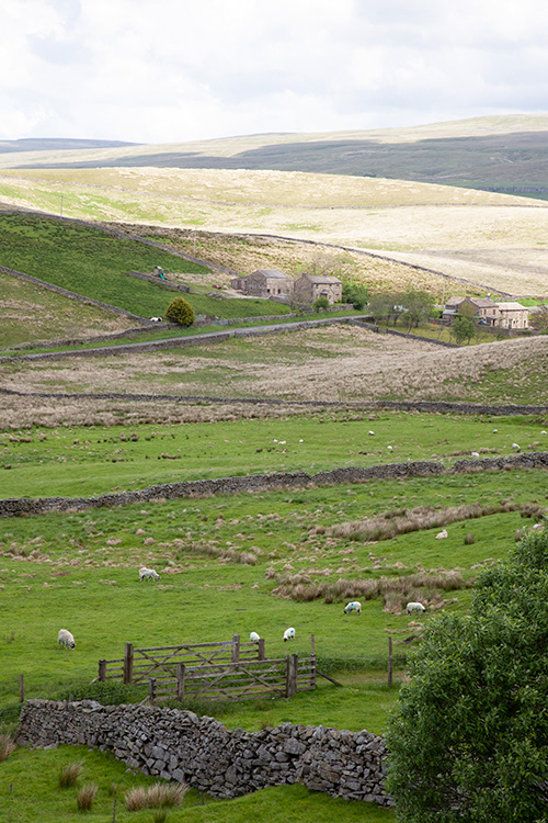SC 44 | Yorkshire Dales
