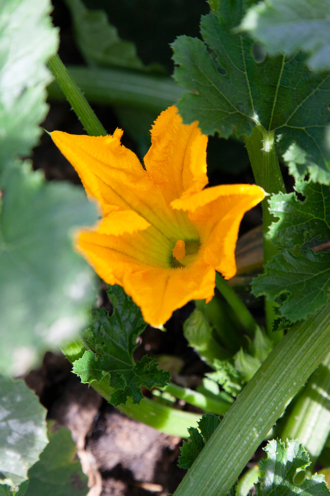 CO 010