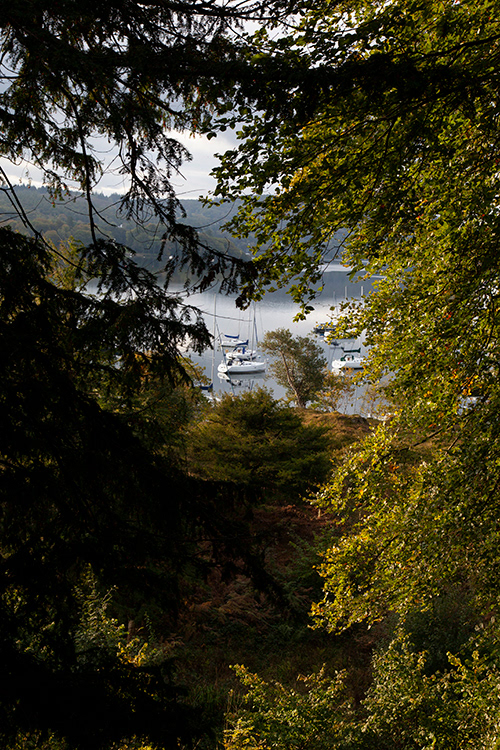#2326 Lake Windermere