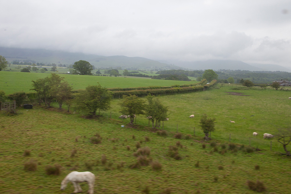 SC 68 | On the train