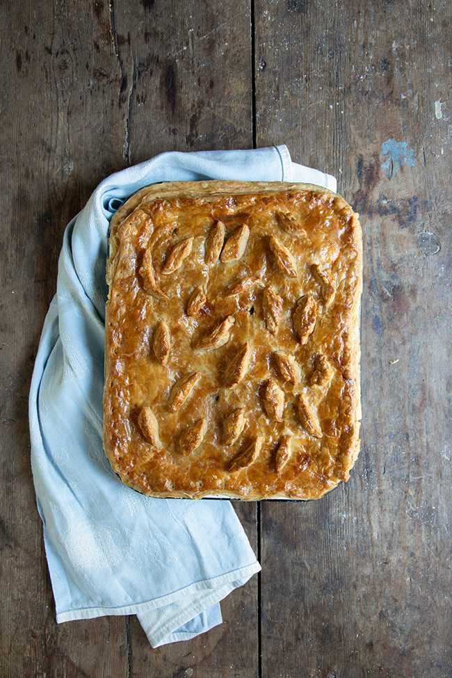 PIES 058