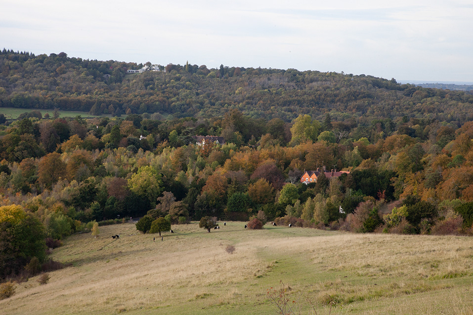 #3783 | Box Hill