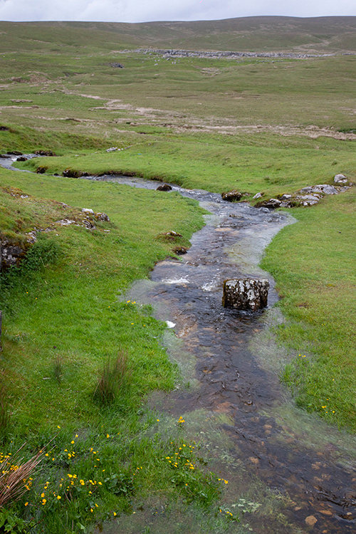 SC 31 | Yorkshire Dales, Ribblehead