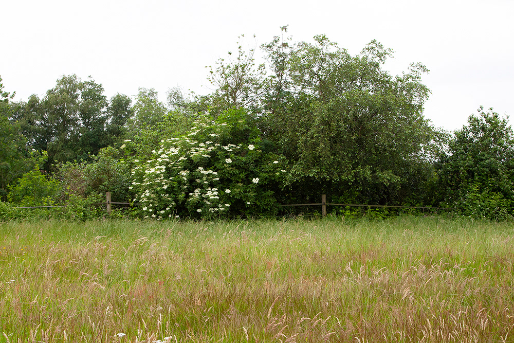 AV 003