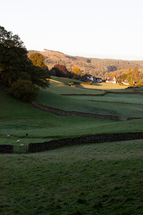 #3450 Near Sawrey