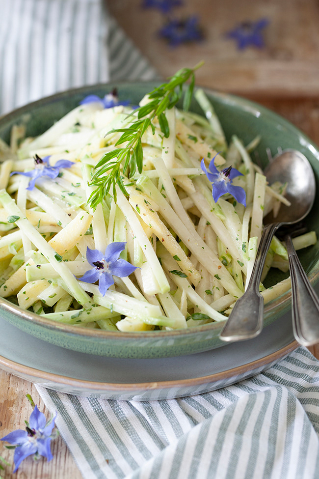kohlrabi 004