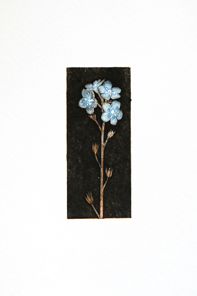 HC 043