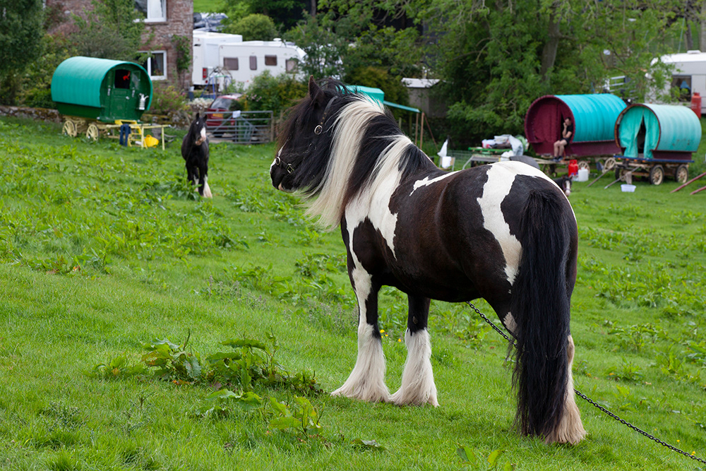 SC 60 | Appleby Horse Fair