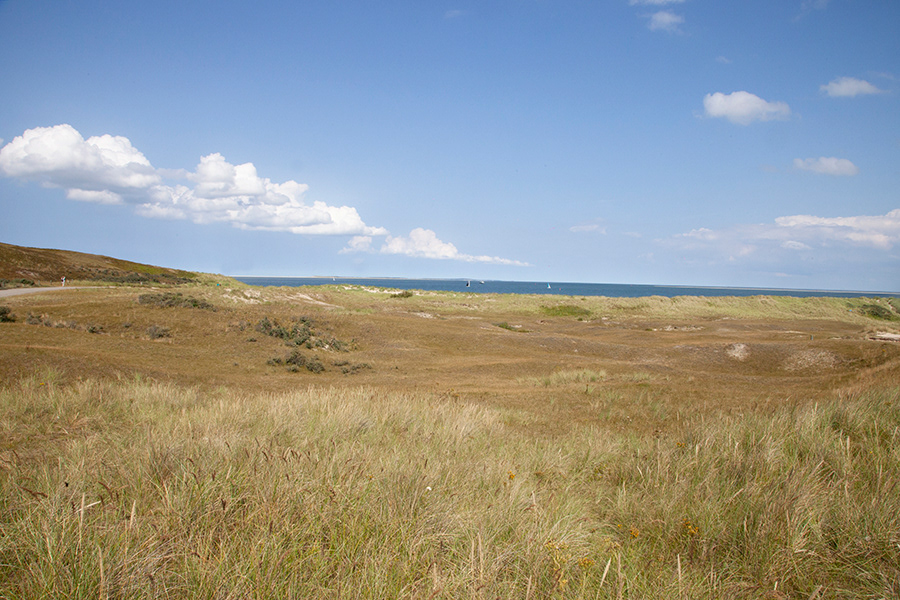 WZ 053 | random image Texel