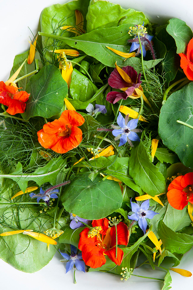 garden salad 002