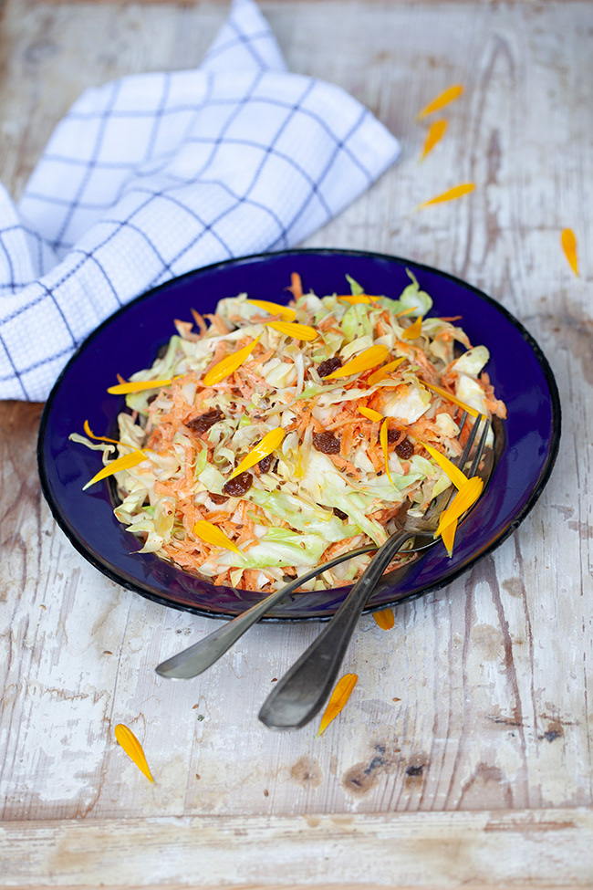 carrot cabbage 003
