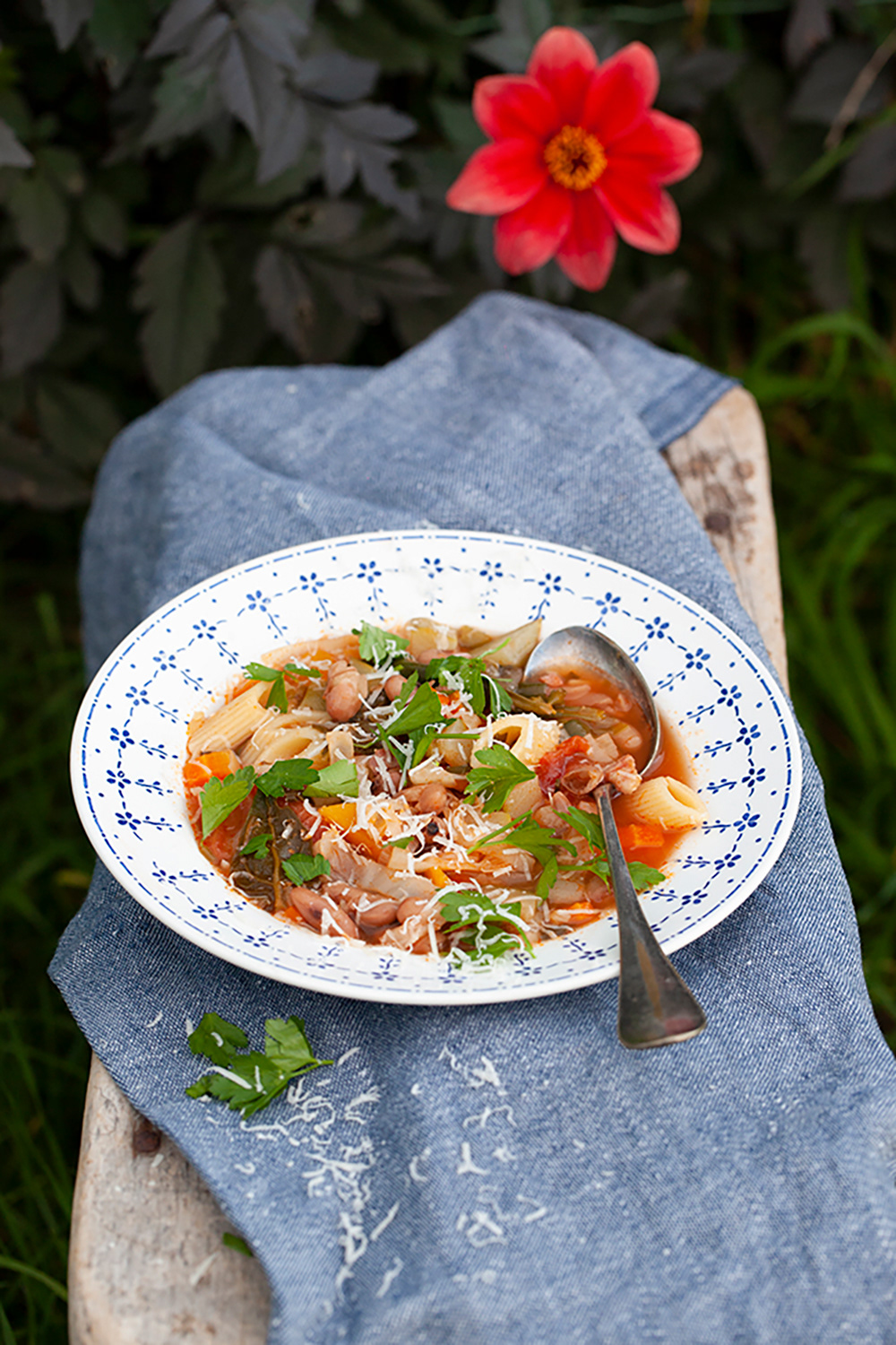 soup 003