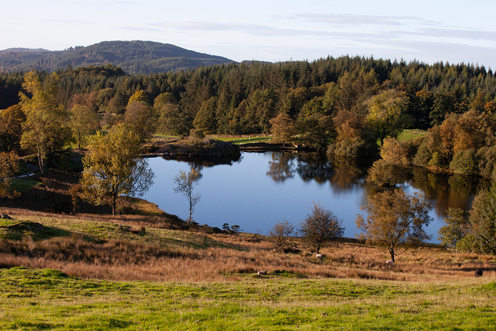 BP 031 | Moss Eccles Tarn