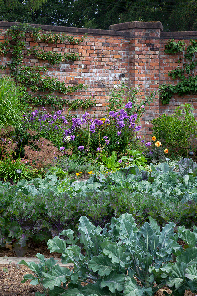 BP 065  |  Lingholm Estate, walled kitchen garden
