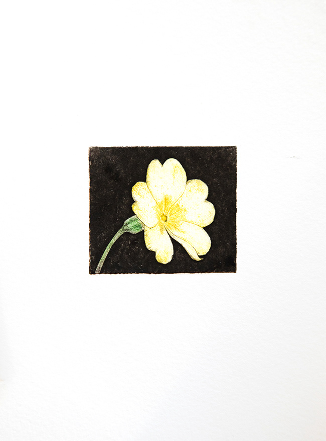 HC 042