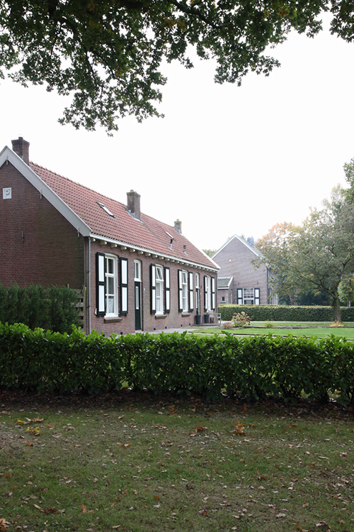 VH 037