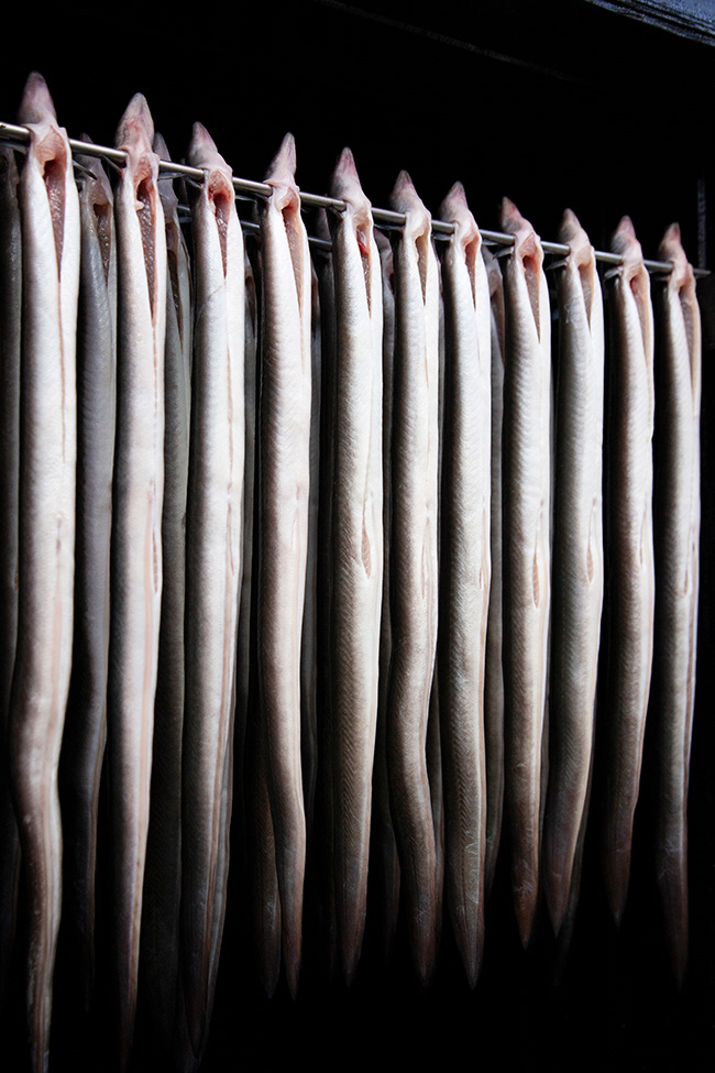 HD 001