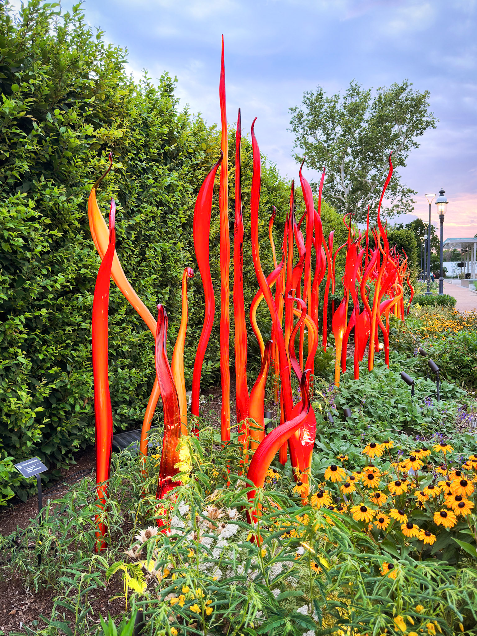 MOBOT Chihuly, 2023