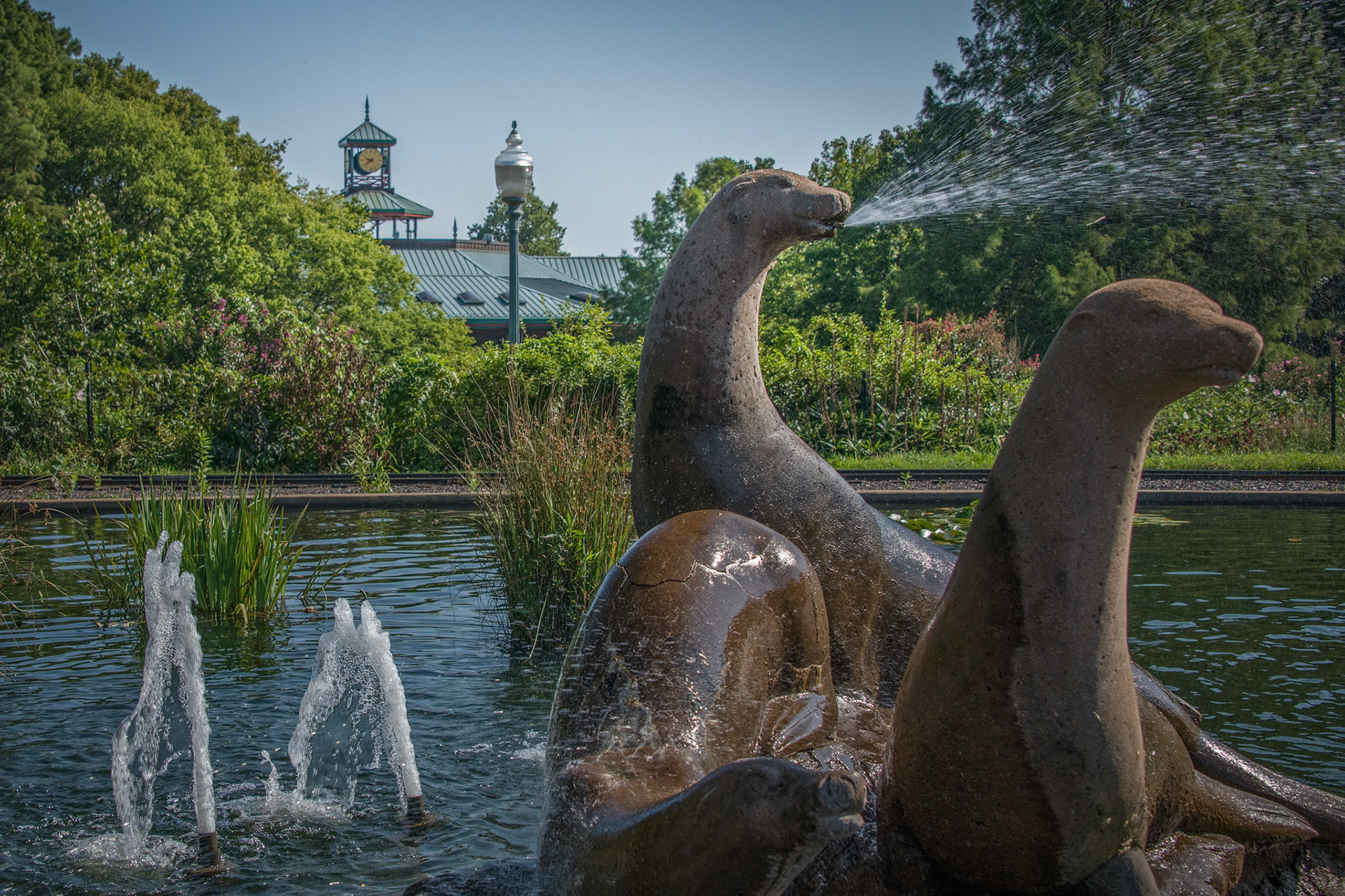 The St. Louis Zoo is frequently named best zoo in the country (St Louis Business Journal and Conde Nast Traveler.) Entrance is free, as with so many of our Forest Park attractions. Families looking for a fun and affordable vacation will definitely find it in St. Louis.