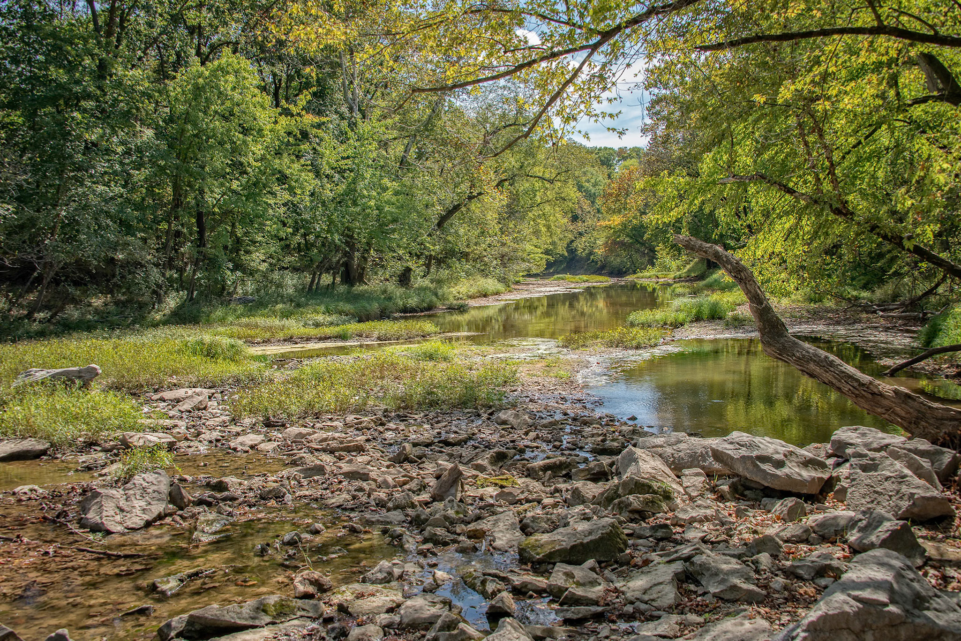 Paris, MO