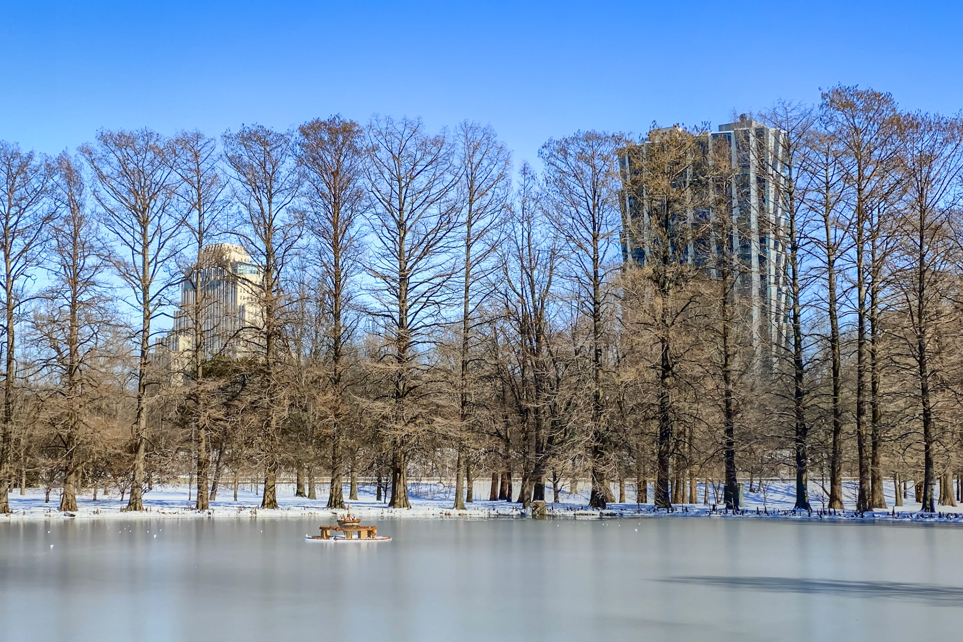 The Central West End from a wintery Forest Park