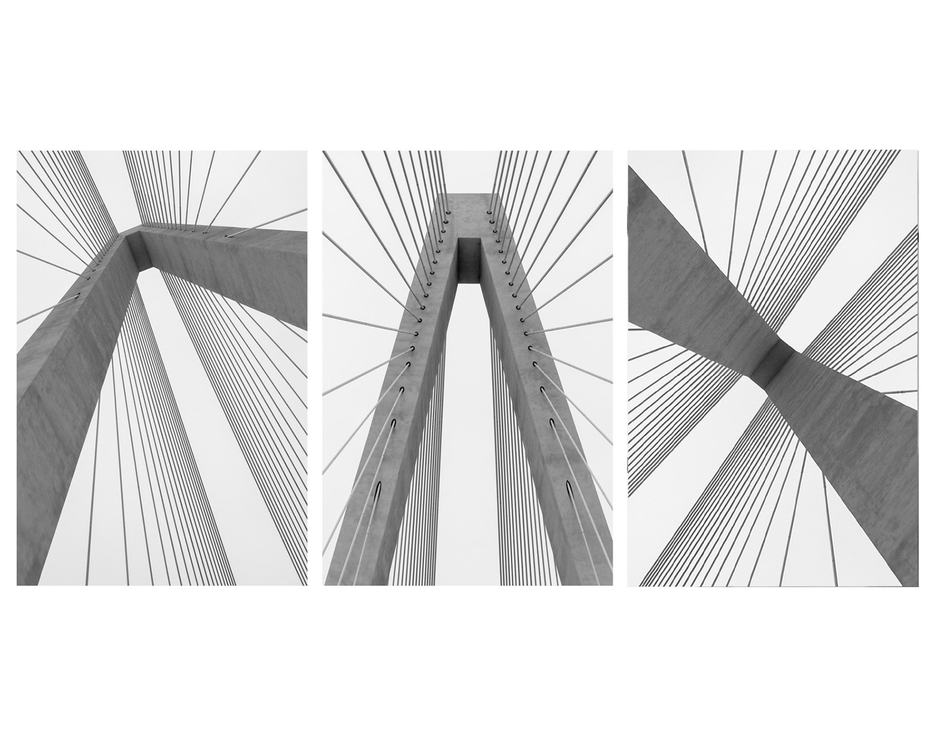 Stan Musial Veteran's Memorial Bridge Triptych; the bridge (the "Stan Span") debuted to foot traffic on February 8, 2014, then opened to vehicular traffic the following day, on February 9, 2014.
