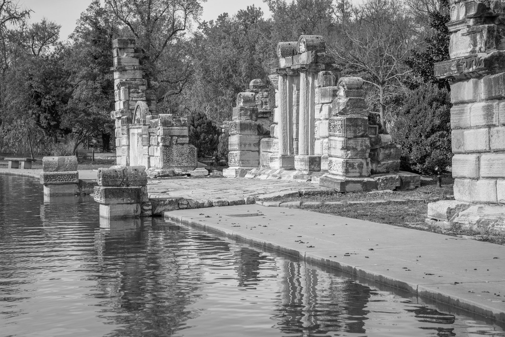 Tower Grove Park