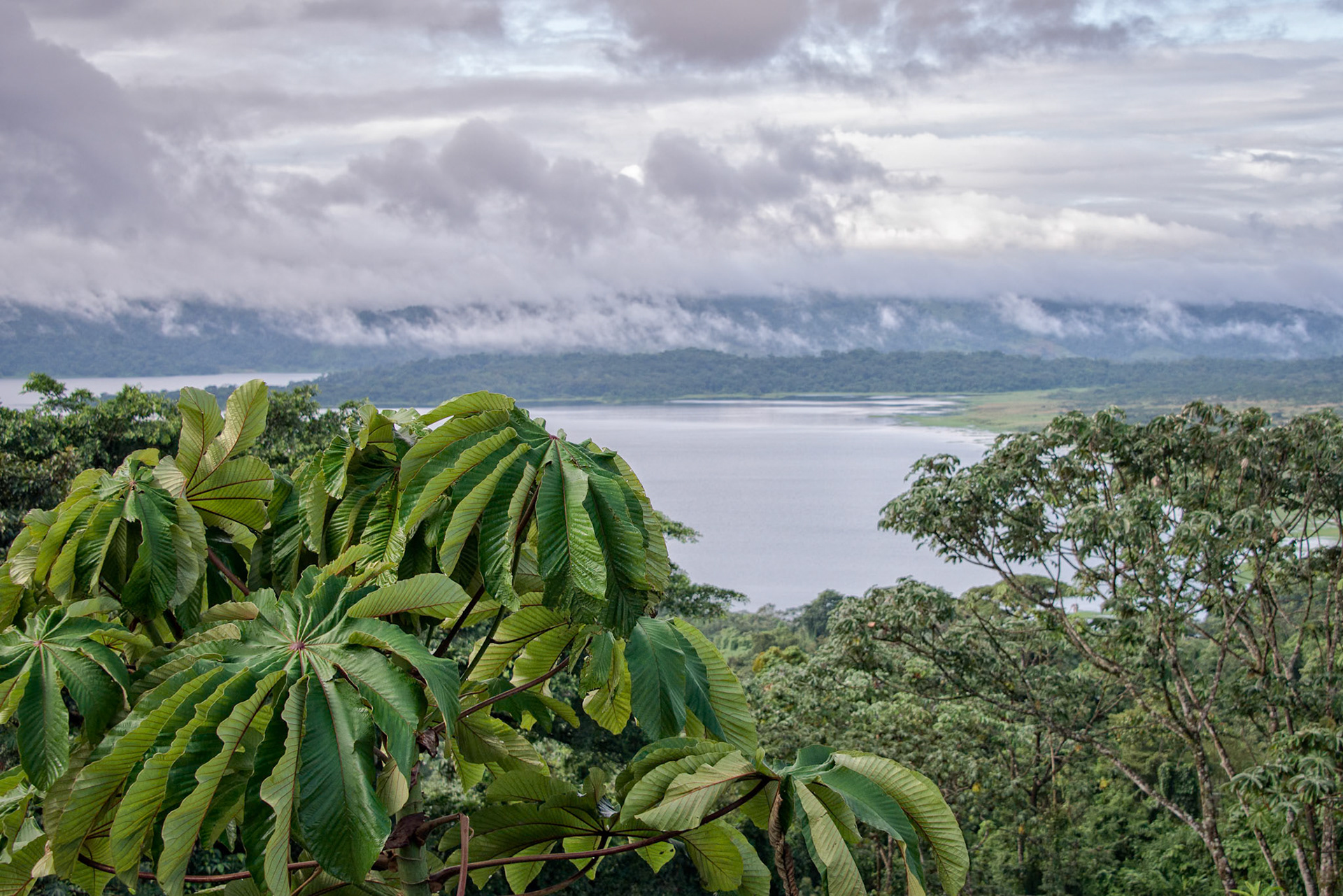 Arenal Volcano Area