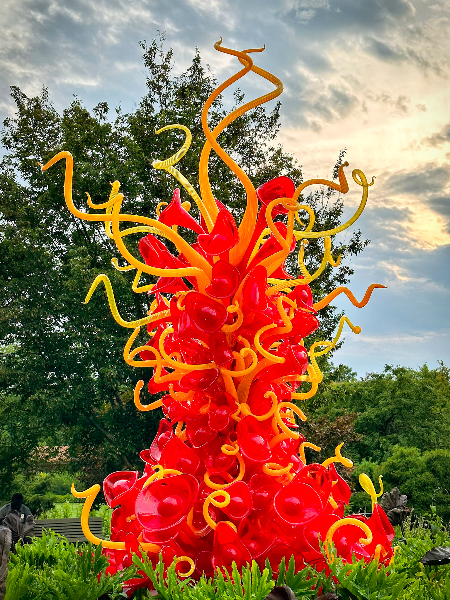 MOBOT Chihuly, 2023