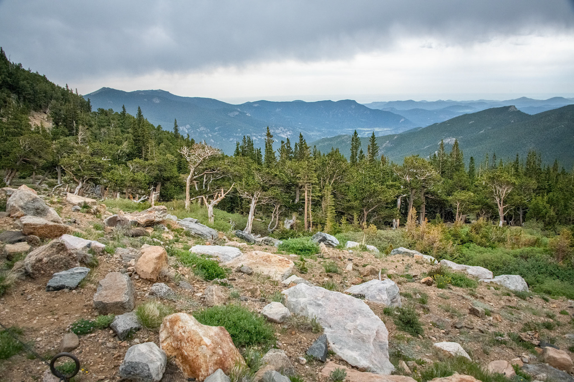 Mount Evans
