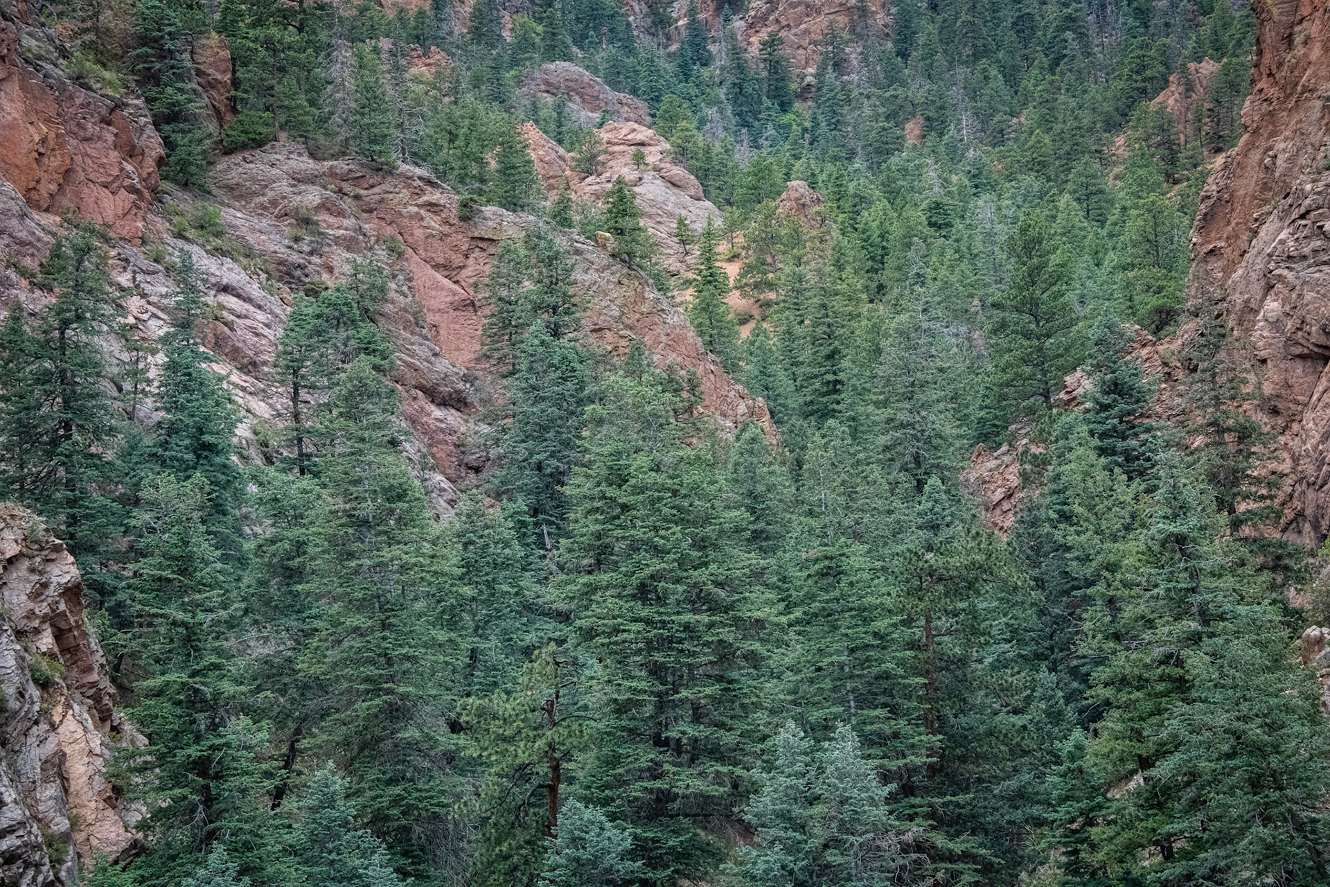 Broadmoor Seven Falls