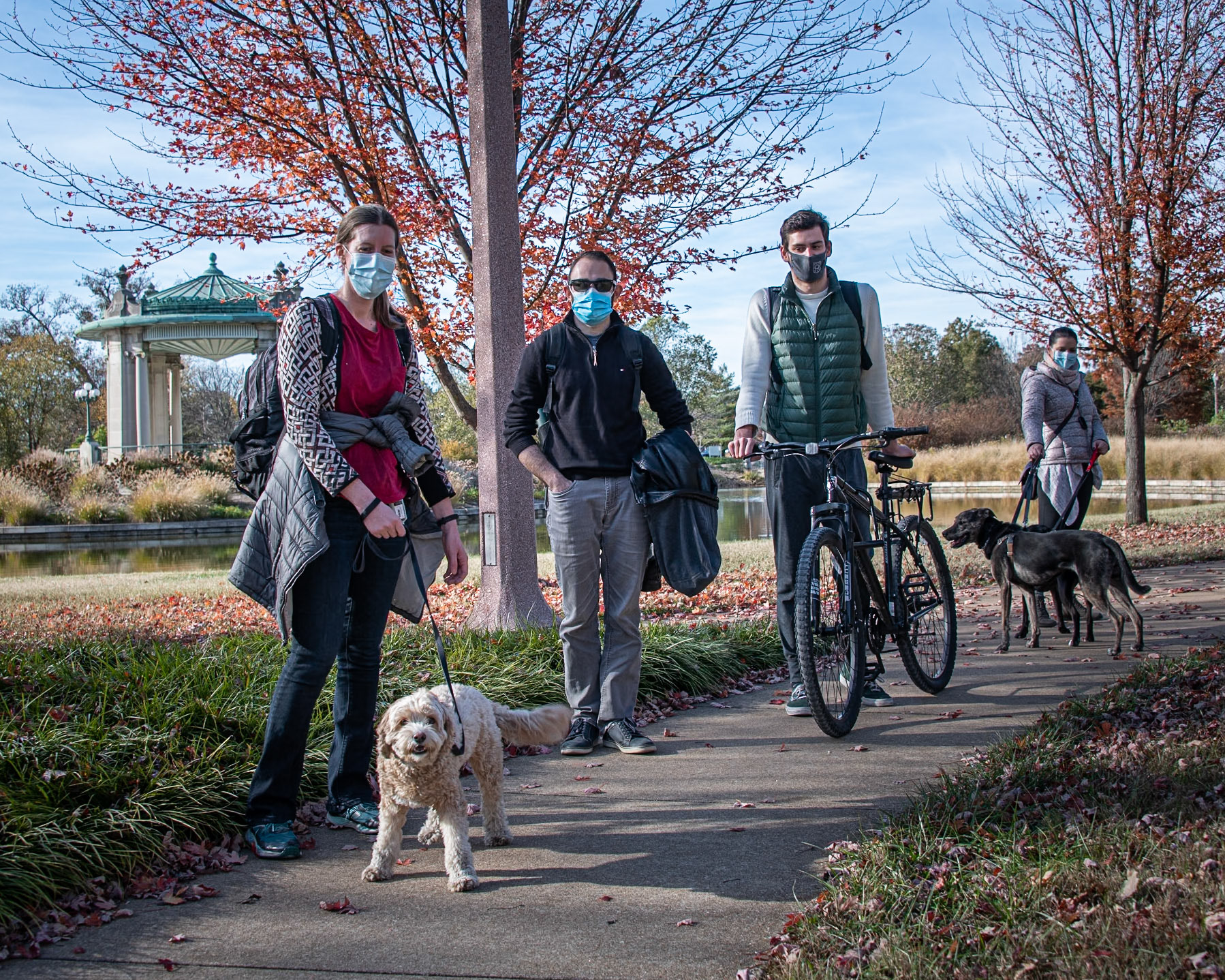 I found a group of friends out enjoying time together in the park. Some had dogs. All wore masks. There were more friends than the photos show, but the three in front stopped to speak with me.  I asked if they always wear face masks outside. I saw nods and heard, "Pretty much, yes". So, I asked if they feel like they're used to it at this point. The woman admitted that she doesn't really like wearing face masks, but she's used to it and good with it.  She walks in the city a lot, so she wears them regularly on city streets. If she finds herself somewhere without many people around, she does occasionally take them off. Her friend with the sunglasses responded similarly. I was especially interested in what the bicyclist would tell me, because I've begun seeing more "humans" riding bikes while wearing masks. (I've tried it myself and know that it can be challenging.) "Do you wear a mask while riding?", I asked. He said he does if he is riding casually, like in the park where other people are around. If he is riding on roads, in traffic, he may take the mask off. I appreciated that he is balancing COVID-19 safety with traffic safety.