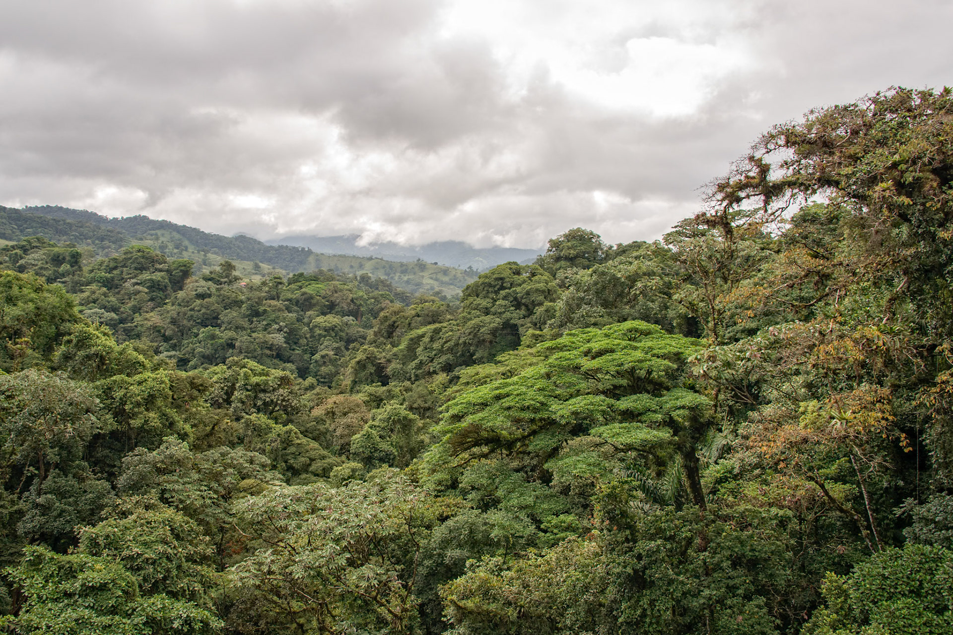 Arenal Volcano Area