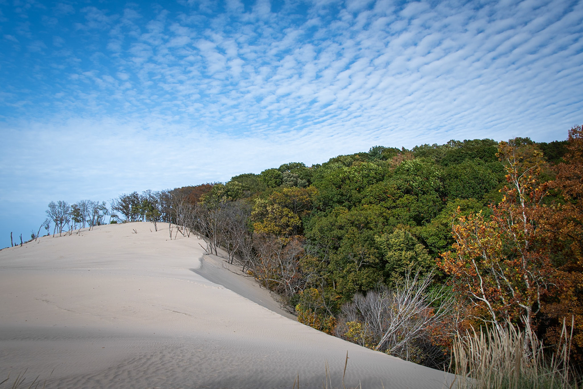 Warren Dunes State Park #1610