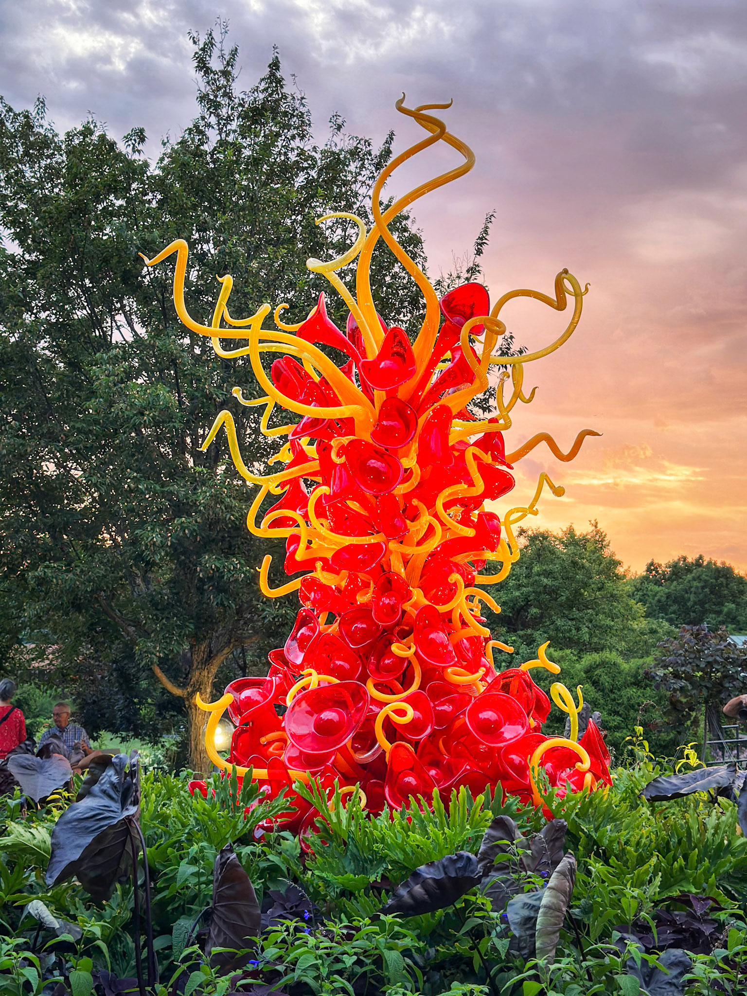 MOBOT Chihuly, 2023