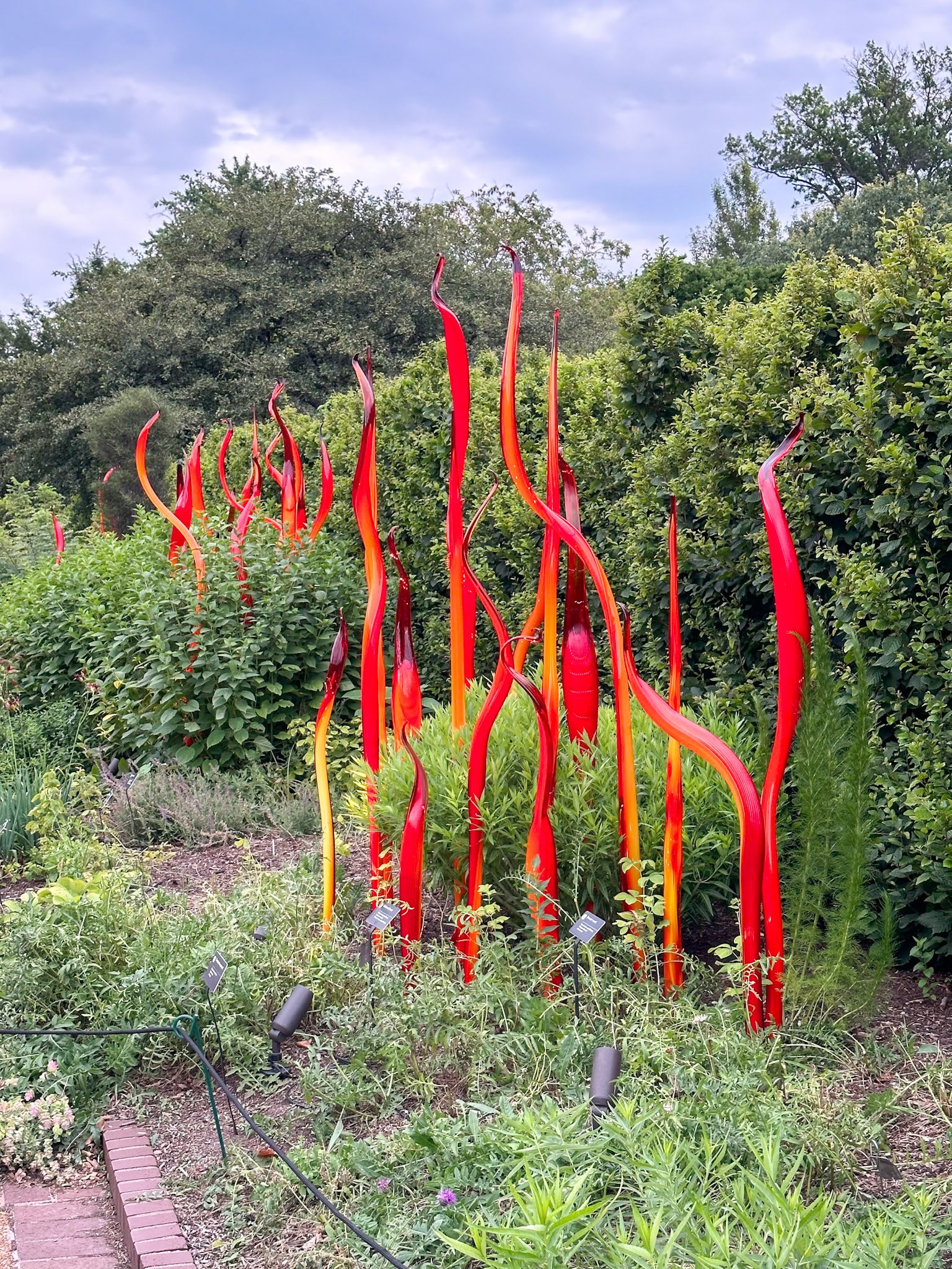 MOBOT Chihuly, 2023