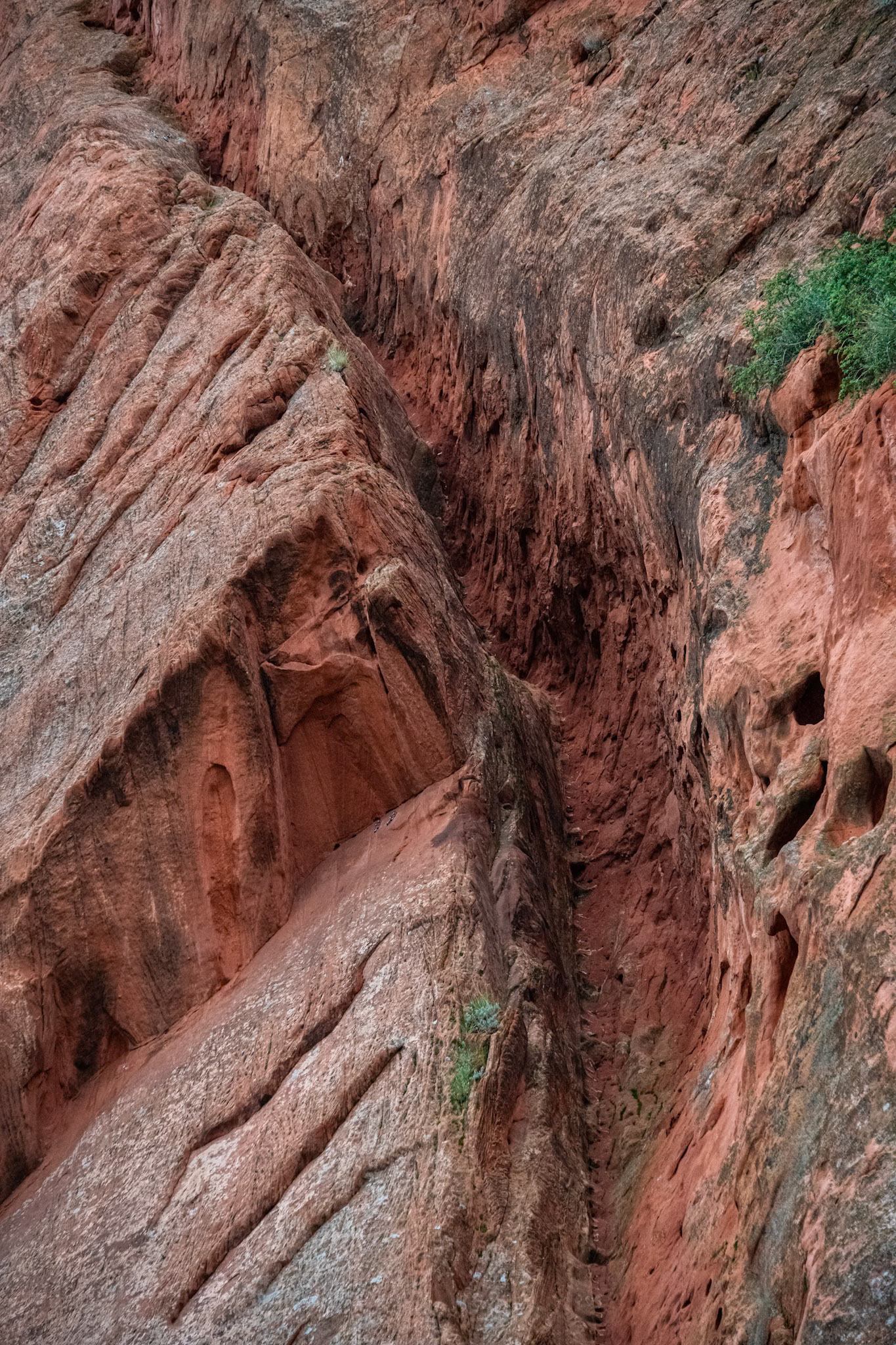 Garden of the Gods
