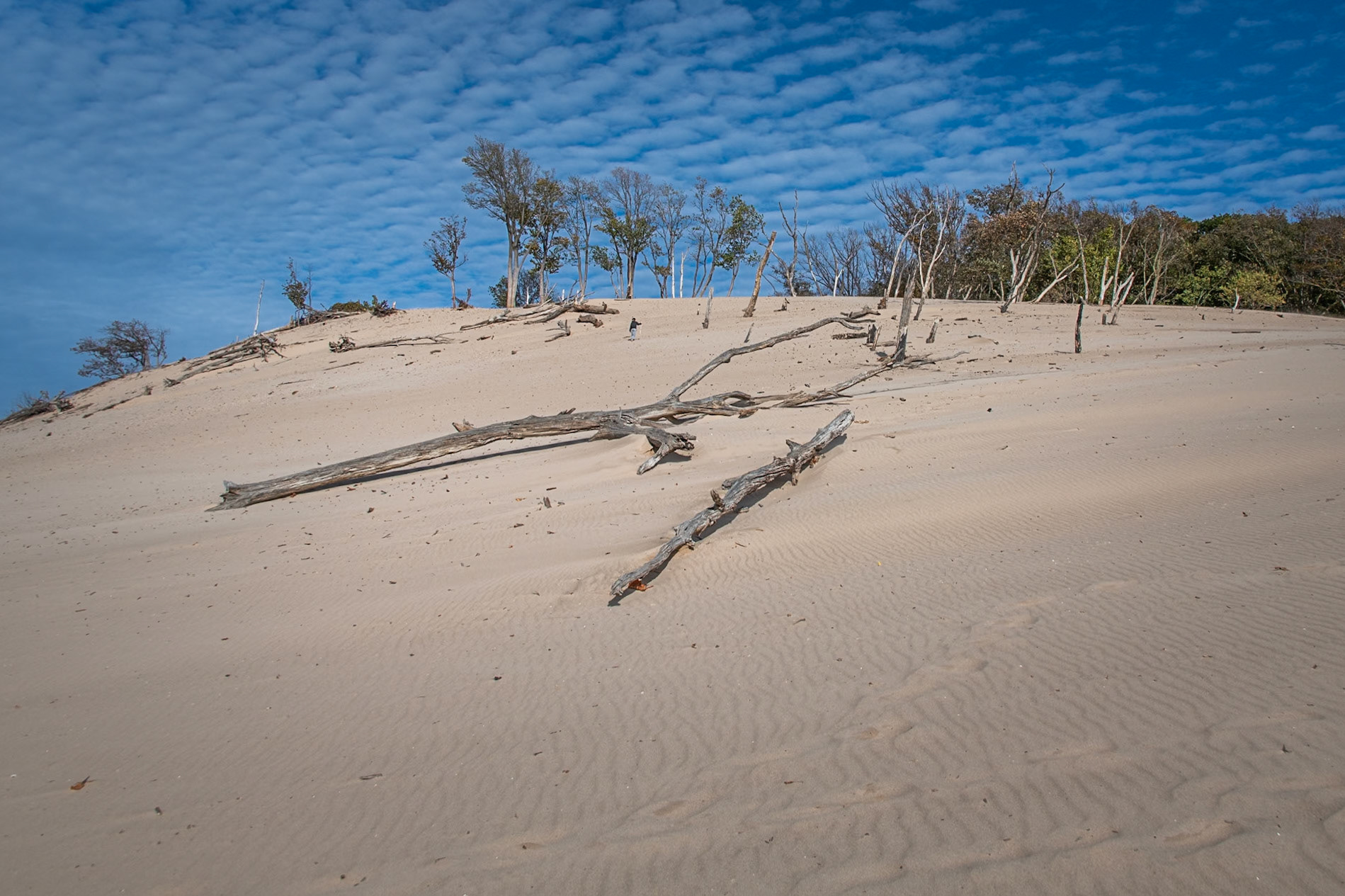 Warren Dunes State Park #1619
