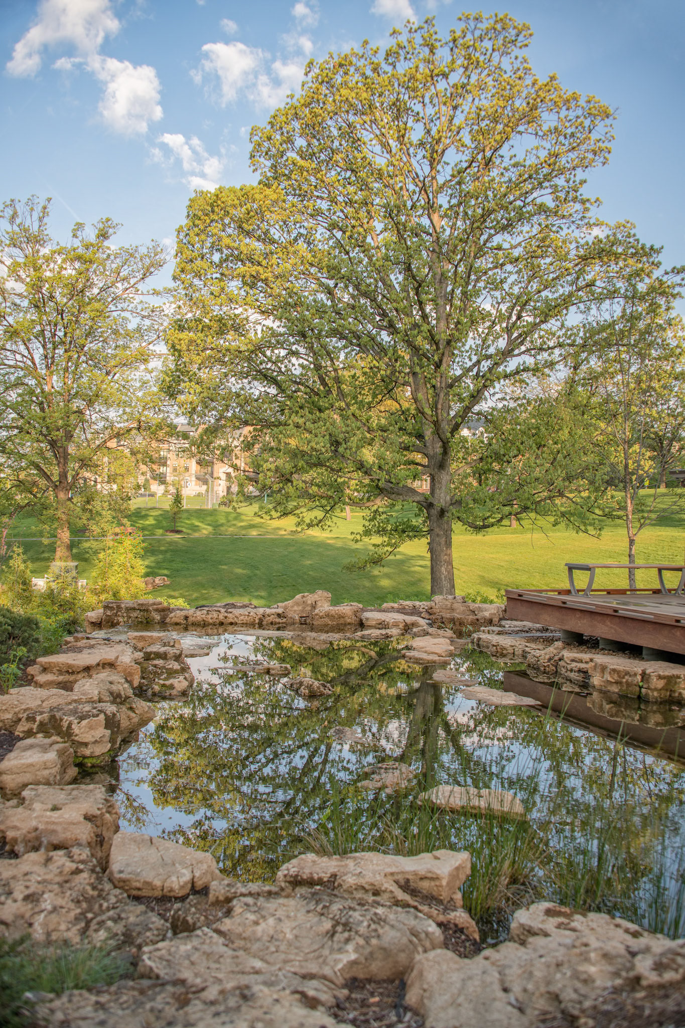 Shaw Park
