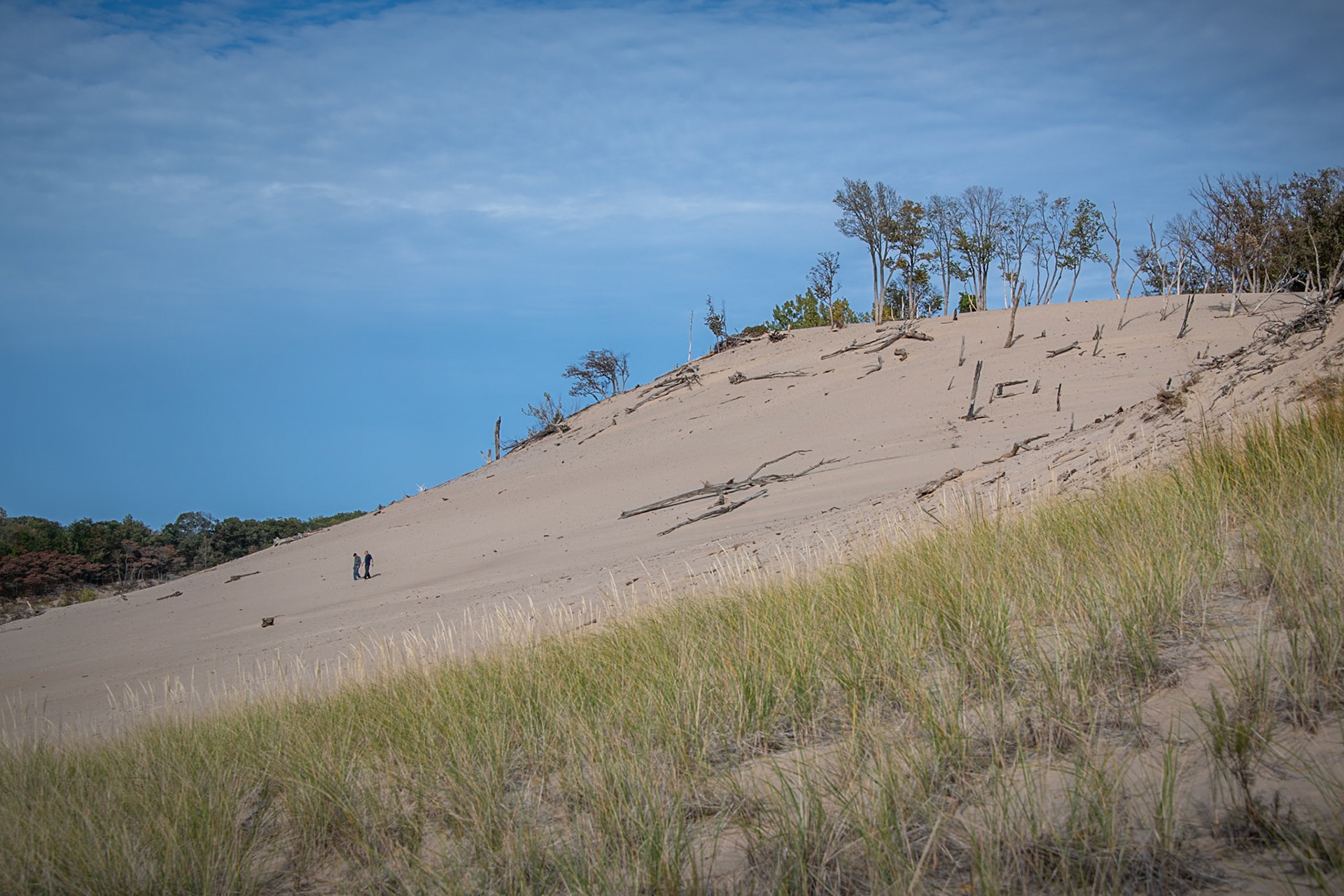 Warren Dunes State Park #1606