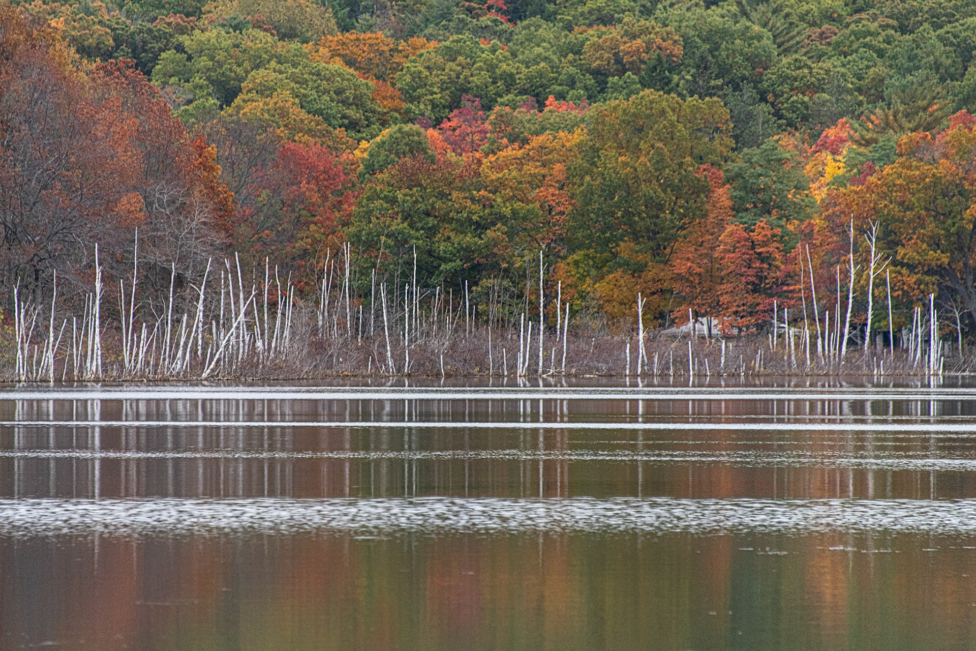 Saugatuck, Michigan #1539